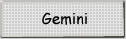 Gemini Project